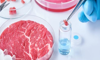 Лабораторный анализ пищевых продуктов по СанПиН в Тейково в октябре
