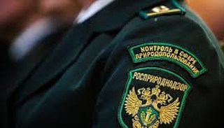 Подготовка к проверке Росприроднадзора в Тейково от ПромМир-Ткв, стоимость услуги от 21746 руб.
